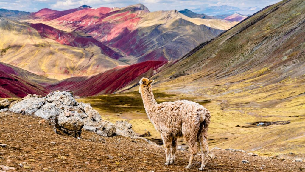 Trek-Palcoyo-Peru-Tour